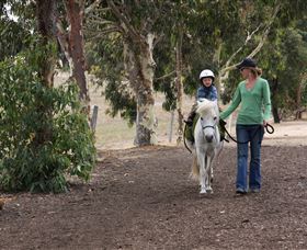 Mirravale Horse Riding School - Accommodation Sydney 2
