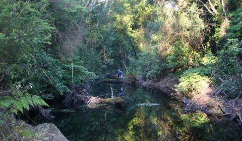 Nadgee Nature Reserve - Accommodation Sydney 2