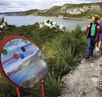 Rocky Cape National Park - Accommodation Sydney