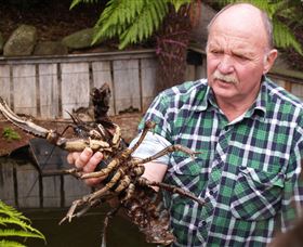 Lobster Ponds - Sydney Resort 0