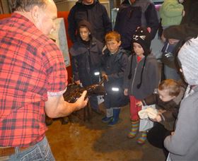 Lobster Ponds - Sydney Resort 3