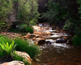 Hellyer Gorge - Accommodation Sydney 1