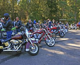 Hellyer Gorge - Accommodation Sydney 3