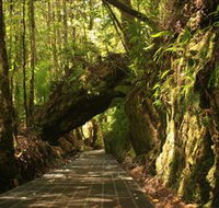 Philosopher Falls - Accommodation Sydney