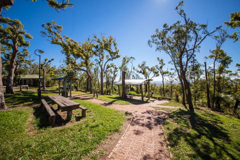 Rockhampton To Carnarvon Gorge Four Night Drive - Sydney 4u 1