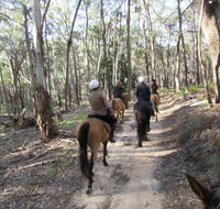 Silver Brumby Trails - Sydney 4u