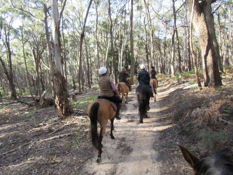 Silver Brumby Trails - Sydney 4u 0