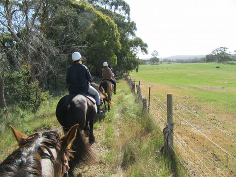 Silver Brumby Trails - Sydney 4u 1