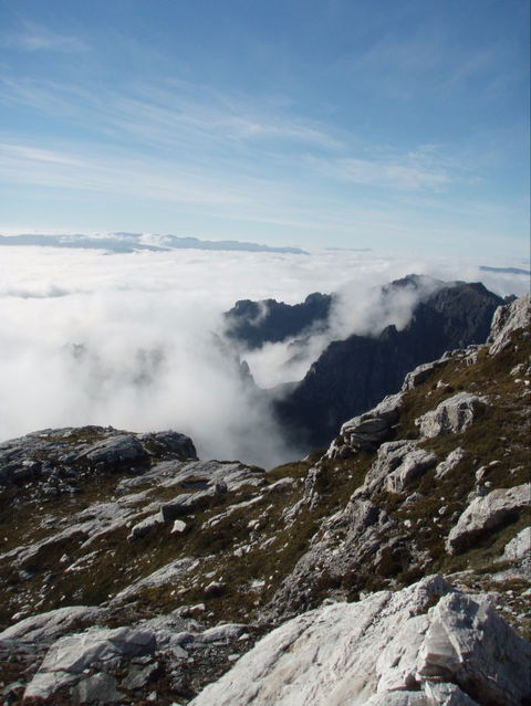 Trek Tasmania - Sydney 4u 5