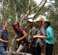 Echidna Walkabout Nature Tours - Accommodation Sydney