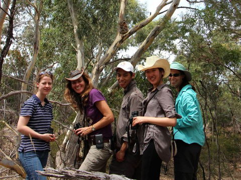 Echidna Walkabout Nature Tours - Accommodation Sydney 0