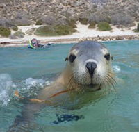 Calypso Star Charters - Accommodation Sydney