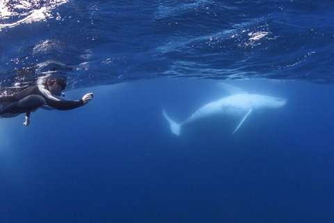 Sunreef Mooloolaba - Sydney Resort 0
