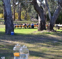 Glendale Citrus  Hazelnut Orchard - Sydney Resort