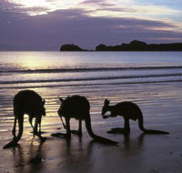 Beachcomber Cove Track - Accommodation Sydney