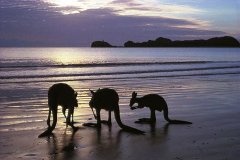 Beachcomber Cove Track - Accommodation Sydney 0