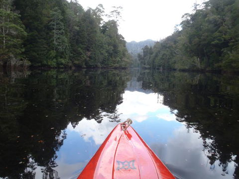 King River Rafting - Accommodation Sydney 1