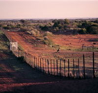 Tri State Safaris - Accommodation Sydney