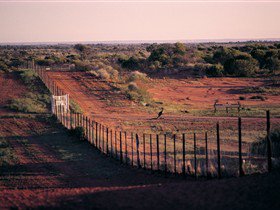 Tri State Safaris - Accommodation Sydney 3