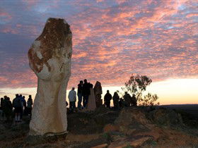 Tri State Safaris - Accommodation Sydney 5