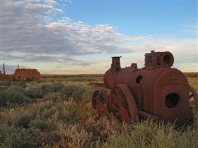 Tri State Safaris - Accommodation Sydney 11