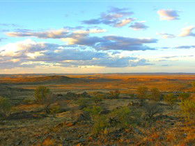 Tri State Safaris - Accommodation Sydney 13