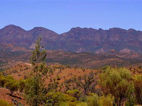 Tri State Safaris - Accommodation Sydney 16