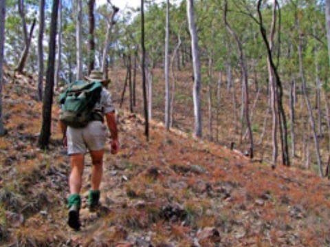 Shepherd's Peak Trail - Accommodation Sydney 0