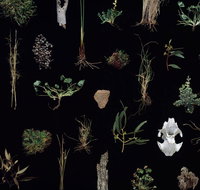 Weswal Gallery - Accommodation Sydney