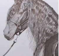 Great Lakes Art Society - Accommodation Sydney