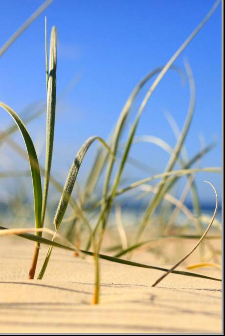 Coastal Visions Photography - Sydney 4u 1