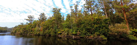 A R Reflections River Cruises - Sydney Resort 0