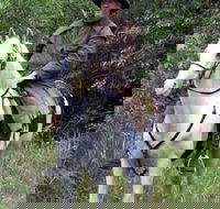 AAA Horse Riding  More - Accommodation Sydney