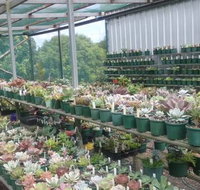 Summerland Aquarium - Sydney Resort