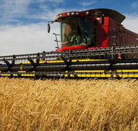 Quirindi Grain and produce - Sydney Resort