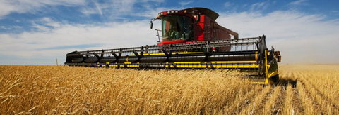 Quirindi Grain And Produce - Sydney Resort 0