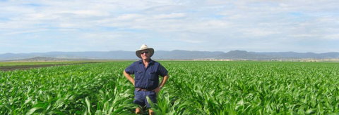 Quirindi Grain And Produce - Sydney Resort 1