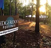 Didgeridoo Jam in the Park - Accommodation Sydney