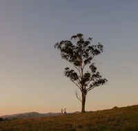 Faulls Ridge Winery - Accommodation Sydney