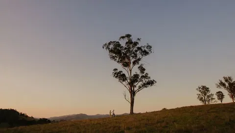 Faulls Ridge Winery - Accommodation Sydney 0