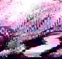 Pink Forest - Boardwalk Bar 4.00-6.00pm - Accommodation Sydney