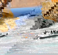 Horizontal Falls Half-Day Tour from Broome - Sydney Resort