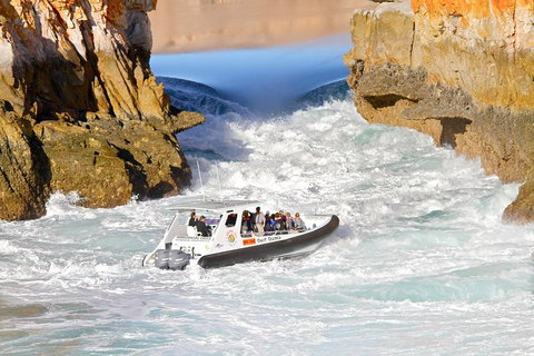 Horizontal Falls Half-Day Tour From Broome - Sydney Resort 2