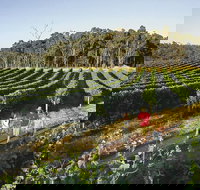 Margaret River Caves Wine and Cape Leeuwin Lighthouse Tour from Perth - Accommodation Sydney