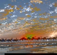 1 Hour Broome Sunset Camel Tour - Sydney Resort