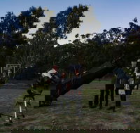 Stargazing Busselton with Mobile Observatory - Accommodation Sydney