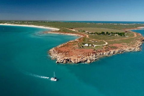 Snubfin Dolphin Eco Cruise From Broome - Accommodation Sydney 7