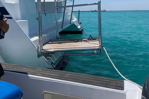 Snubfin Dolphin Eco Cruise From Broome - Accommodation Sydney 15