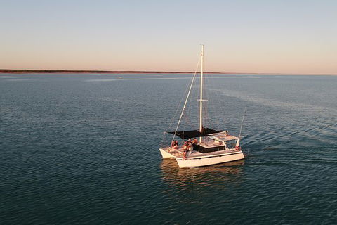 Snubfin Dolphin Eco Cruise From Broome - Accommodation Sydney 12