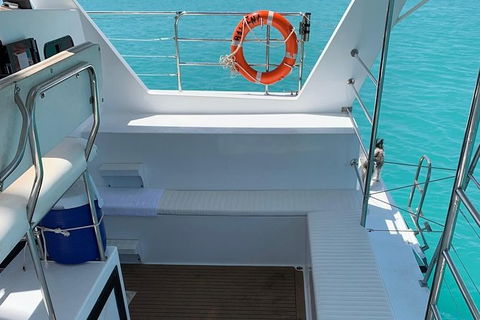 Snubfin Dolphin Eco Cruise From Broome - Accommodation Sydney 14
